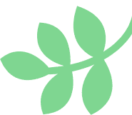 Right leaf